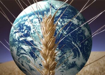 Kuwait delegate presents credentials to FAO