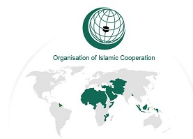 HE Foreign Minister Leads Qatar Delegation for OIC meeting