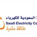 Beneficiaries of the services Saudi Electricity Company more than 7 million subscribers
