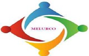 MELUBCO signs MOU with DP World