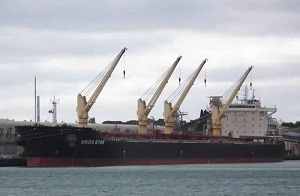 Jebel Ali Port Efficiently Handles Biggest Ever Bulk Carrier Vessel