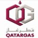 Qatargas wins Arabia Corporate Social Responsibility /CSR/ Award