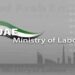 Labour Ministry becomes the Fastest-Growing Governmental Facebook Page in UAE