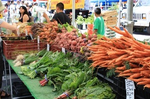 Dubai’s food trade gears for major jump in exports as demand soars across target markets