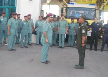 UAE Civil Defence and MoI discuss work plan