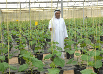UAE agriculture to receive boost from East Asia