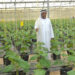 UAE agriculture to receive boost from East Asia