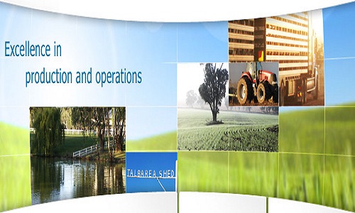 Hassad Food Makes Strides in Qatar’s Food Security