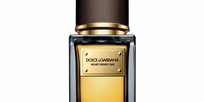 The Executive Selection: Dolce & Gabbana