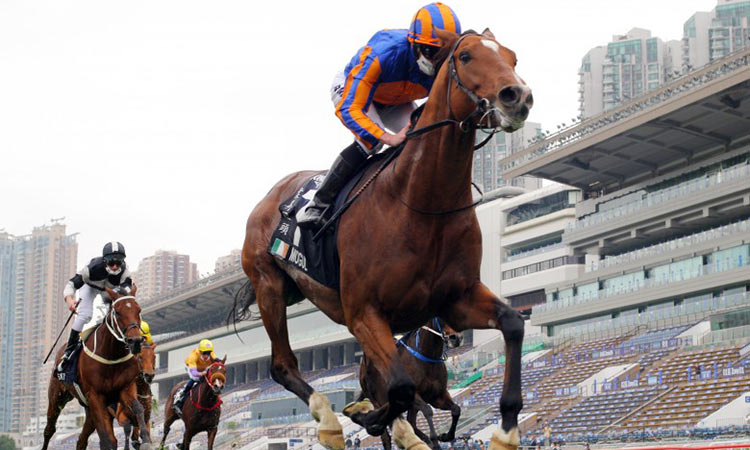 O’Brien looks to add another Dubai Sheema Classic victory with Mogul