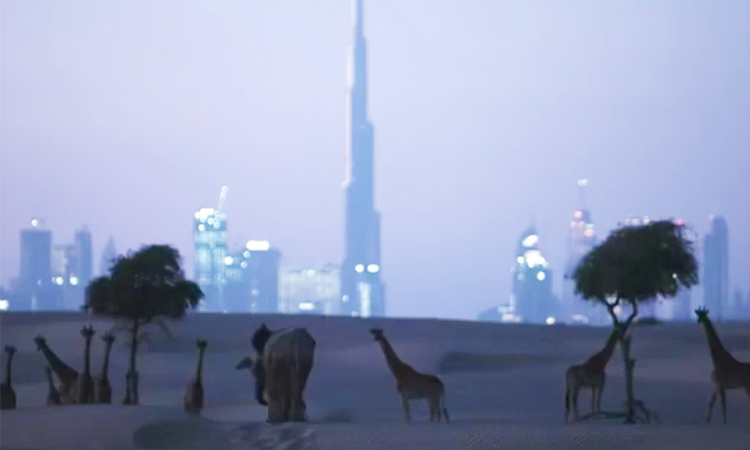 Sheikh Hamdan shares engrossing video of Dubai’s wildlife reserve, watch how animals are treated