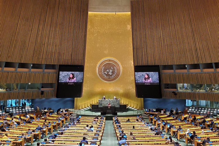 UAE elected to UN Security Council, secures 179 votes
