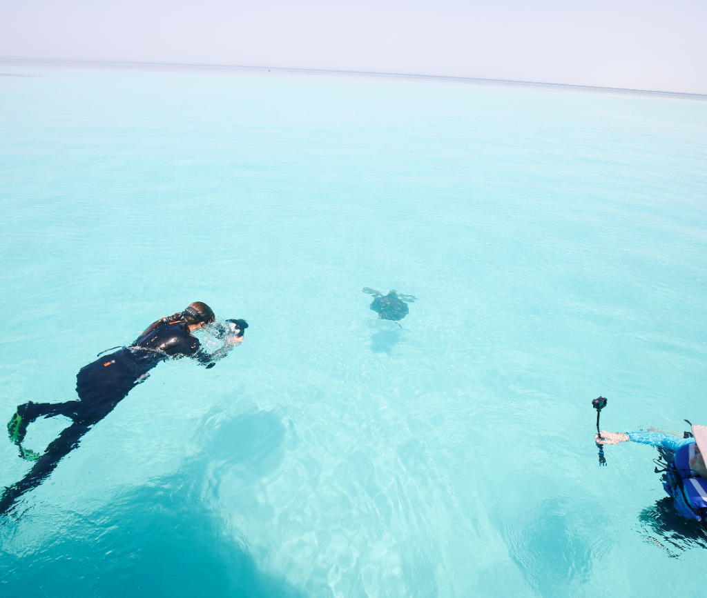 The Red Sea Development Company announces exceptional results in ESG assessment