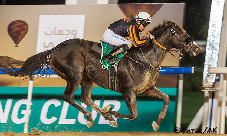 Switzerland stars in doubles for O’Shea and Seemar at a rainy Meydan