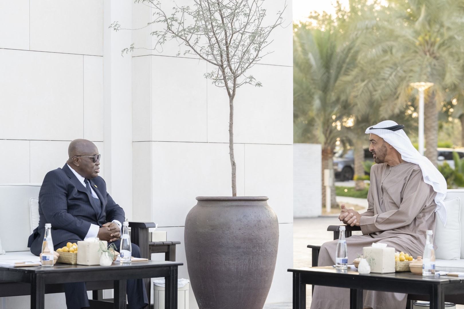Mohamed bin Zayed, President of Ghana review advancing bilateral relations