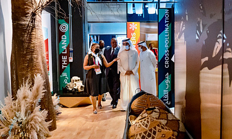 UAE keen to boost ties with African nations: VP