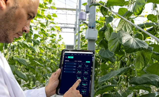 Sustainable Agtech Firm – Red Sea Farms – Attracts $18.5 Million Strategic Raise As Tech Performance Surpasses Expectations