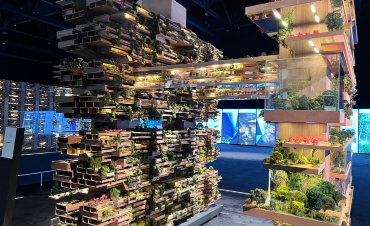 NEOM’s The Line: Turning fascinating utopia into sweet rea