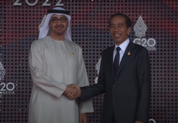 The president of the UAE takes part in the G20 summit in Indonesia.