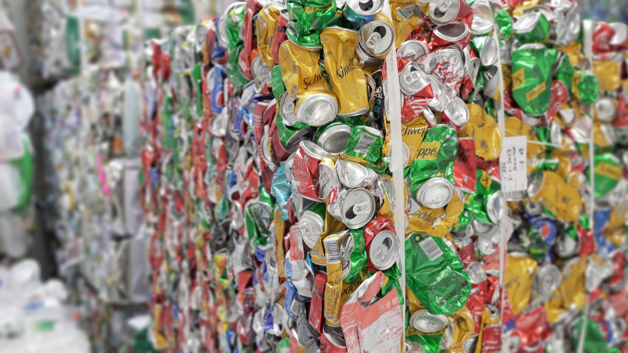 EGA and RECAPP by Veolia join forces to boost aluminium recycling in UAE schools and universities