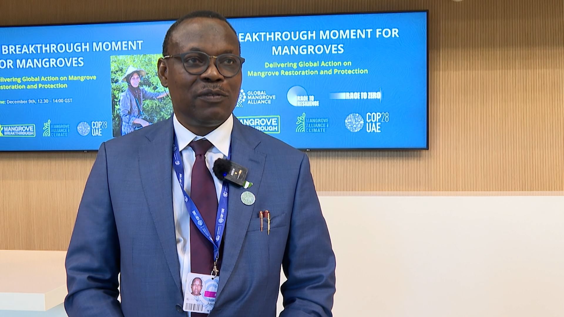 Nigeria to plant 10 million mangrove seedlings in next 3 years: Minister of State for Environment