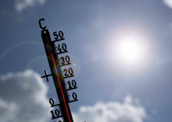 Prolonged Heatwaves Pose Growing Danger to Human Health, Experts Caution