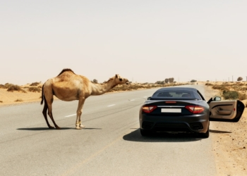 UAE Prepares for a Wave of Electric and Hybrid Flagships