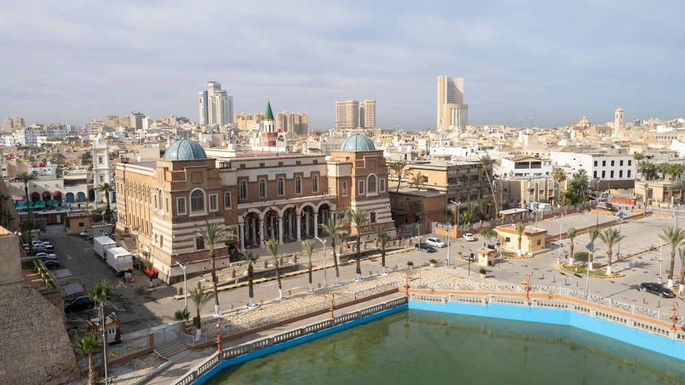 The central bank also disclosed that total foreign currency sales between 1 and 13 January reached approximately $1 billion